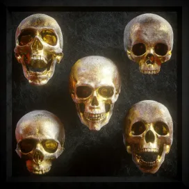 Billelis skull pack